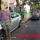 Illustration for article titled Would Doge DeMuro Own A Ferrari, Too?